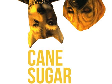 CANE SUGAR