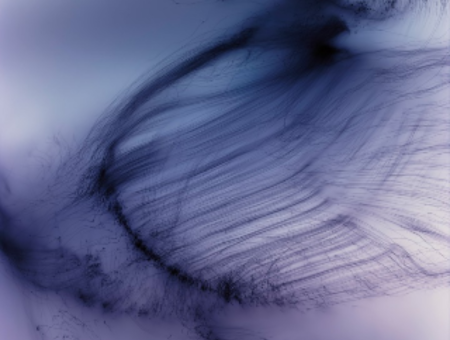 Saggio Scuola di Teatro - BUTTERFLY EFFECT