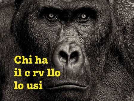 CHI HA IL CERVELLO LO USI